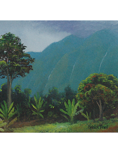 Windward Oahu by Patrick Doell