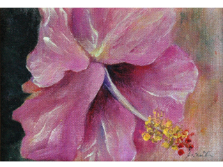 Hibiscus I by Toni Martin 