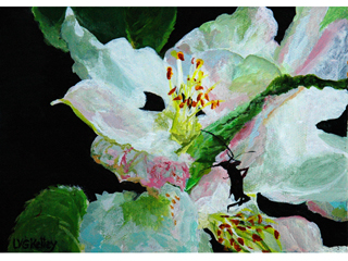 Beetle Beauty by Linda  V.G. Kelley