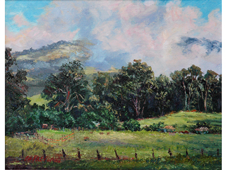 Ranching Hawaiian Style by Betty Hay Freeland (1941-2023)