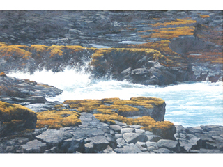 Kona Coast by Gary  Reed (1948-2015)