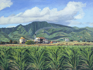 Clouds Over Mt.  Kaala by Lynne Boyer