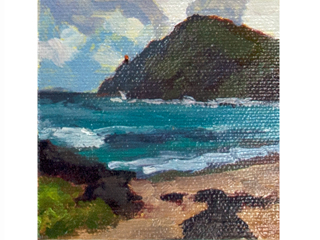 Makapu'u by Lynne Boyer