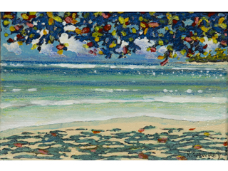 Kamani Tree and Shade by Russell Lowrey
