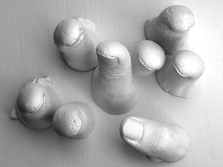 The Confrontation of Thumbs by Abigail (Abi) Good (View 2)