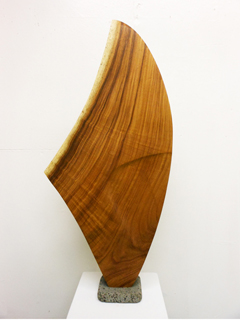 Sail by Tim Garcia