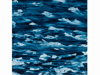 Ephemeral by Mary Mitsuda