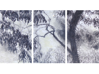 Peach Tree Shadows, No. 5 by Willa Cox