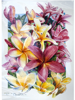 Mix Plumeria by Tom Tomita