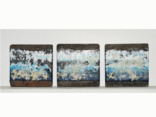 Coral Sea by Cindy  Bloomfield Black