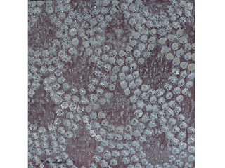 XV Panel by Mark Kadota