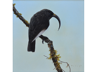 The Black Mamo by Michael Furuya