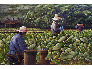 Men of Taro by Sandra Blazel
