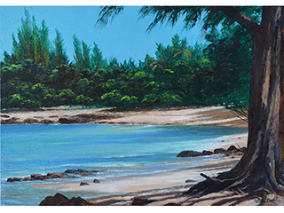 Haleiwa Beach Park by Patrick Doell