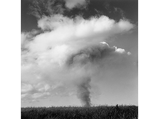 Sugar Cane Fire- Maui 1996 by Franco Salmoiraghi