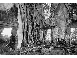 Hamakua Poko Sugar Mill Ruins - Paia Maui 1994 by Franco Salmoiraghi