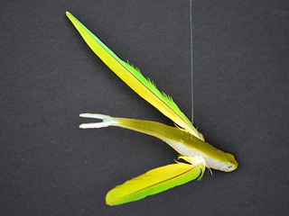 Flying Fish by Lynn Weiler Liverton