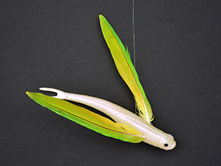 Flying Fish by Lynn Weiler Liverton