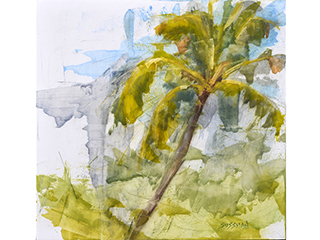 Ka Lau o Ka Niu by Sharon Sussman