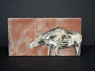 Boar 11.13.13 (C) by Jodi Endicott