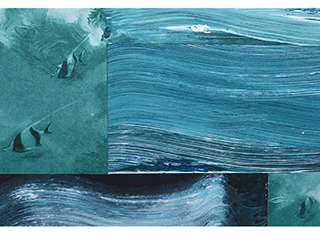 For the Love of the Sea A-2: E malama i ke Kai by Loreen Matsushima