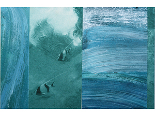 For the Love of the Sea A-4: E malama i ke Kai by Loreen Matsushima