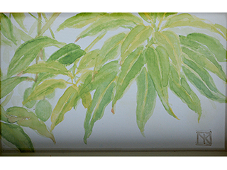 Waiting for Mangos by Mari Kuramochi