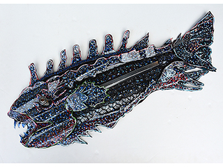 Hawaiian Rodilal Fish by Bernard  Moriaz