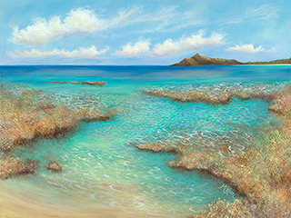Rainbow Reef by Laurie McKeon