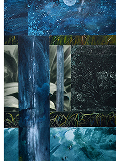 For the Love of the Land Mahinahina, Under the Moonlight by Loreen Matsushima
