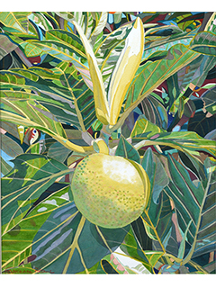 Breadfruit Atherton Street IV by Fabienne Blanc