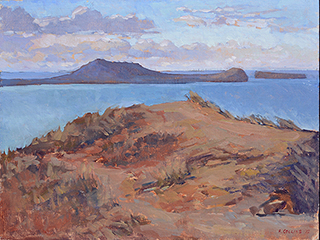 Pillbox Vista by Robert Collins