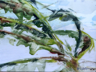 Kualoa Palm by Sharon Sussman