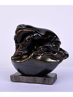 Specimen by Tonia Moreno
