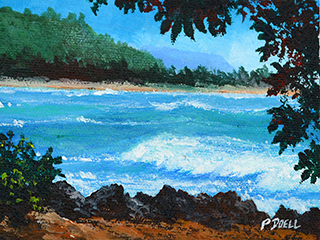 Turtle Bay by Patrick Doell
