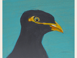 Mynah One by Neida Bangerter