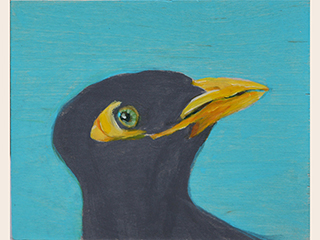 Mynah Three by Neida Bangerter