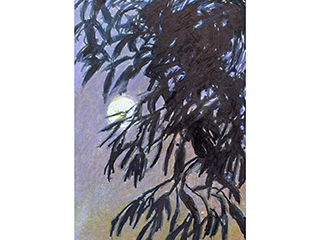 Manoa Mango Moon by Darrell Orwig