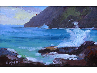Makapuu Splash by Lynne Boyer