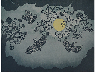 Circling The Moon by Andrea Pro
