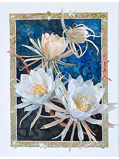 Night Blooming Cereus by Tom Tomita