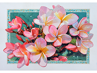 Plumeria by Tom Tomita