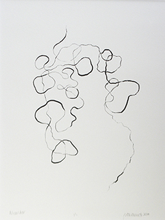 Meander by Barbara Okamoto