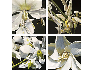 Whites on Black 1-4 by Sandra Blazel