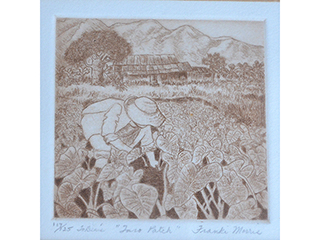 Taro Patch by Franki Morris