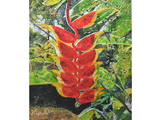 Heleconia by Martha Heppard