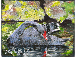 Black Swan by Martha Heppard