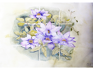 Clematis by Martha Heppard