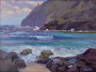 Makapu'u by Lynne Boyer