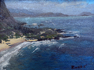 Makapu'u Blue by Bill Zwick